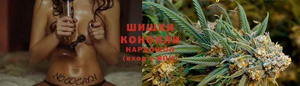 твердый Богородицк