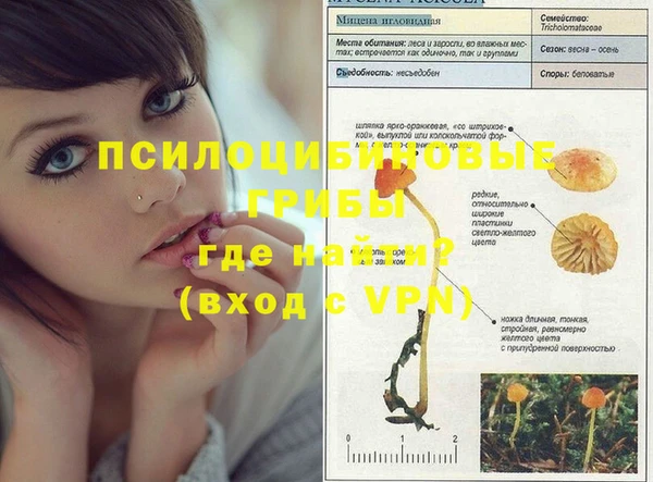 mix Богданович