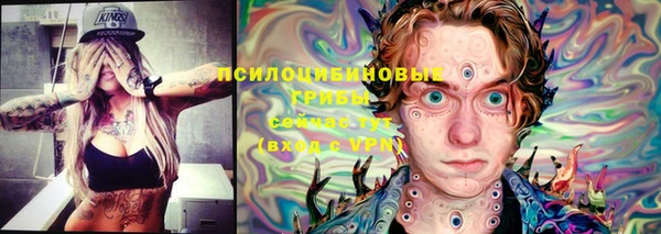 твердый Богородицк