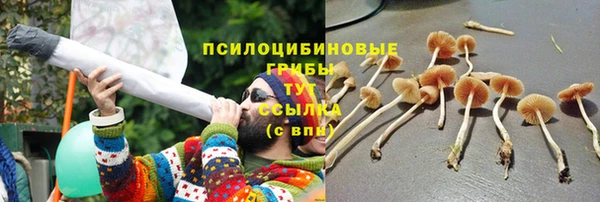 mix Богданович