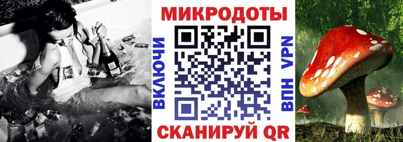 маркетплейс какой сайт Наро-Фоминск Псилоцибиновые грибы Cubensis ссылка на мегу зеркало