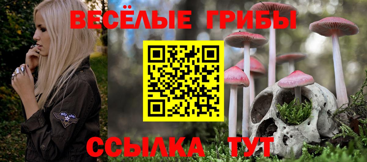 Псилоцибиновые грибы мицелий  Вход с VPN  Наро-Фоминск  Псилоцибиновые грибы мицелий 